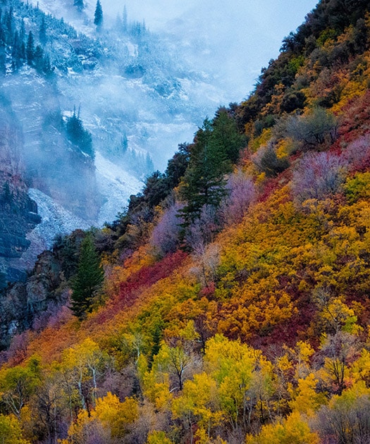 eventi culturali 4stagioni