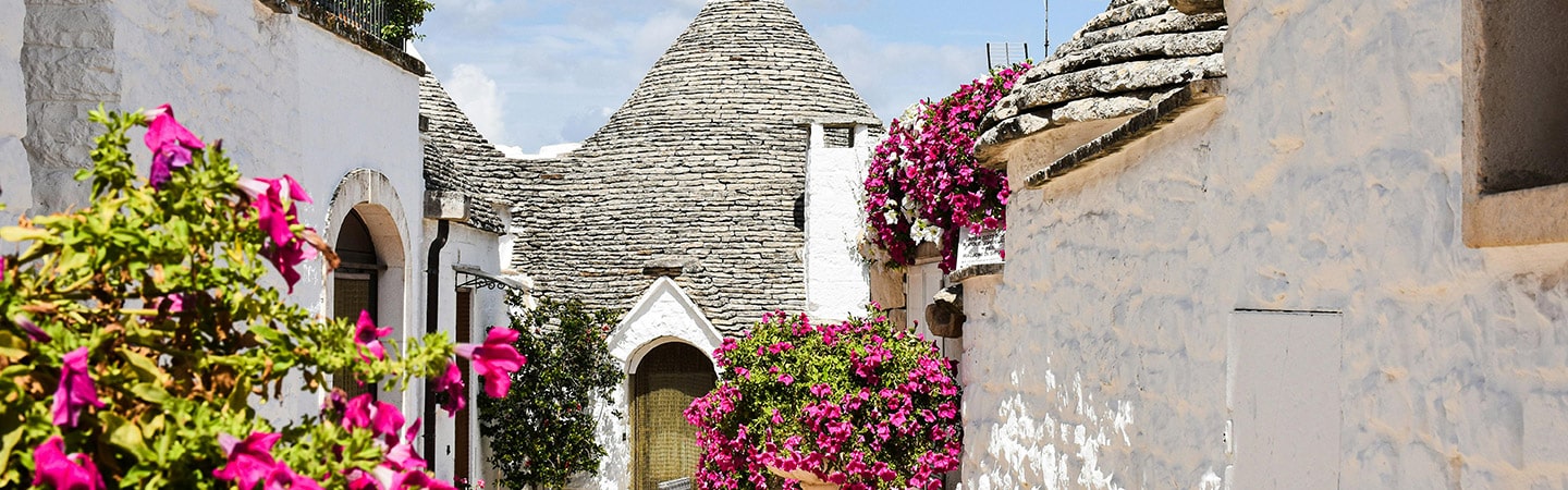 hero dintorni alberobello desk